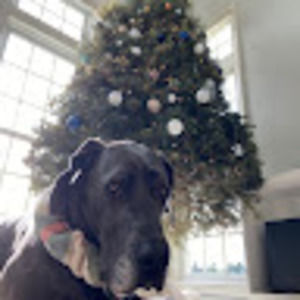 Meet your Posher, Graysen